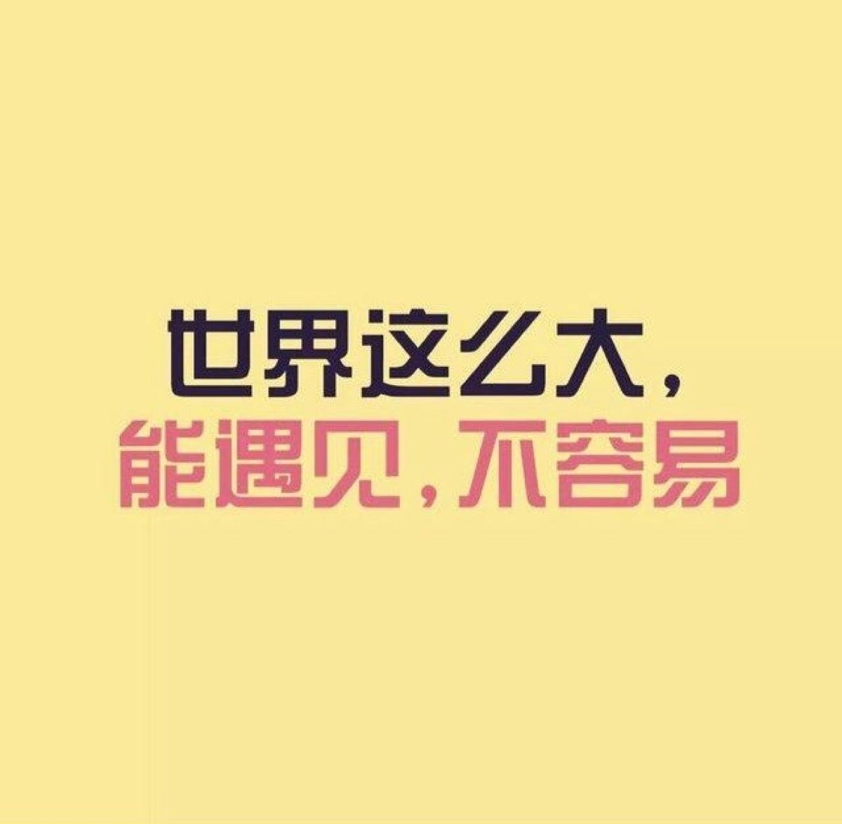 1502106447965865hlwH.jpg timg (1).jpg