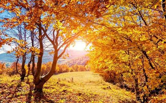 1510539000385776B4GA.png QQ图片20171113100718.png